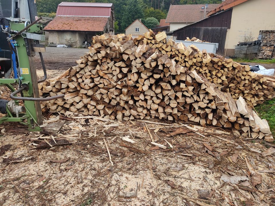 Brennholz Kaminholz Grünschnitt Baumfällung in Grünstadt