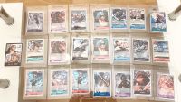 One Piece Karten TCG Sammlung Englisch Brandenburg - Forst (Lausitz) Vorschau