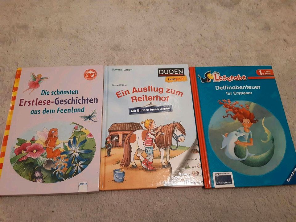 Erstlese Bücher  für Mädchen in Dresden