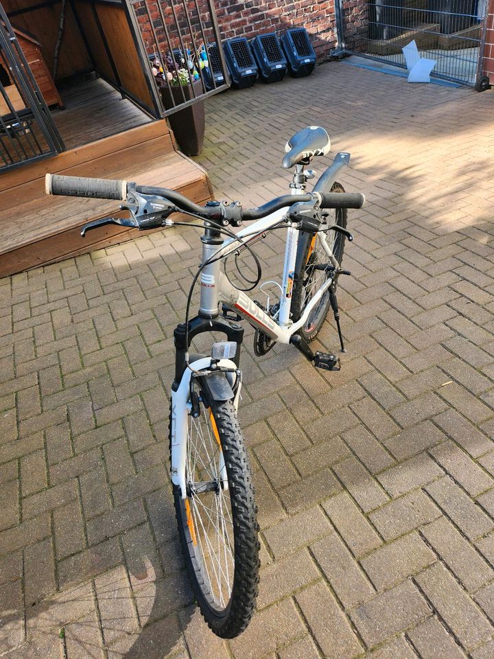 Damen Fahrrad in Werdau
