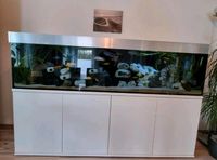 Aquarium 500 Liter led mit unterschrank Schleswig-Holstein - Boren Vorschau