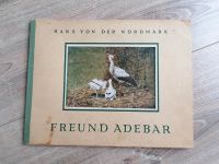 Freund Adebar - Hans von der Nordmark Bayern - Hohenberg a.d. Eger Vorschau