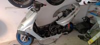 Aprilia SR50 LC Bastler TEXT LESEN!!!!!!! Nürnberg (Mittelfr) - Aussenstadt-Sued Vorschau