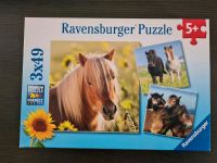 Puzzle Kinder 5 Jahre Pferde Bayern - Gersthofen Vorschau