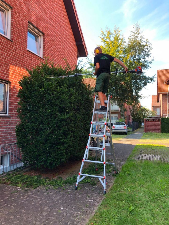 Hecke schneiden kürzen Sträucher Gartenarbeit in Rheda-Wiedenbrück