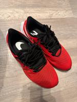 Nike Air Zoom Pegasus, Größe 43 Bayern - Erlangen Vorschau