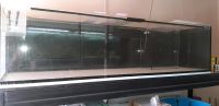 Aquarium 2x50x50 Mecklenburg-Strelitz - Landkreis - Neustrelitz Vorschau