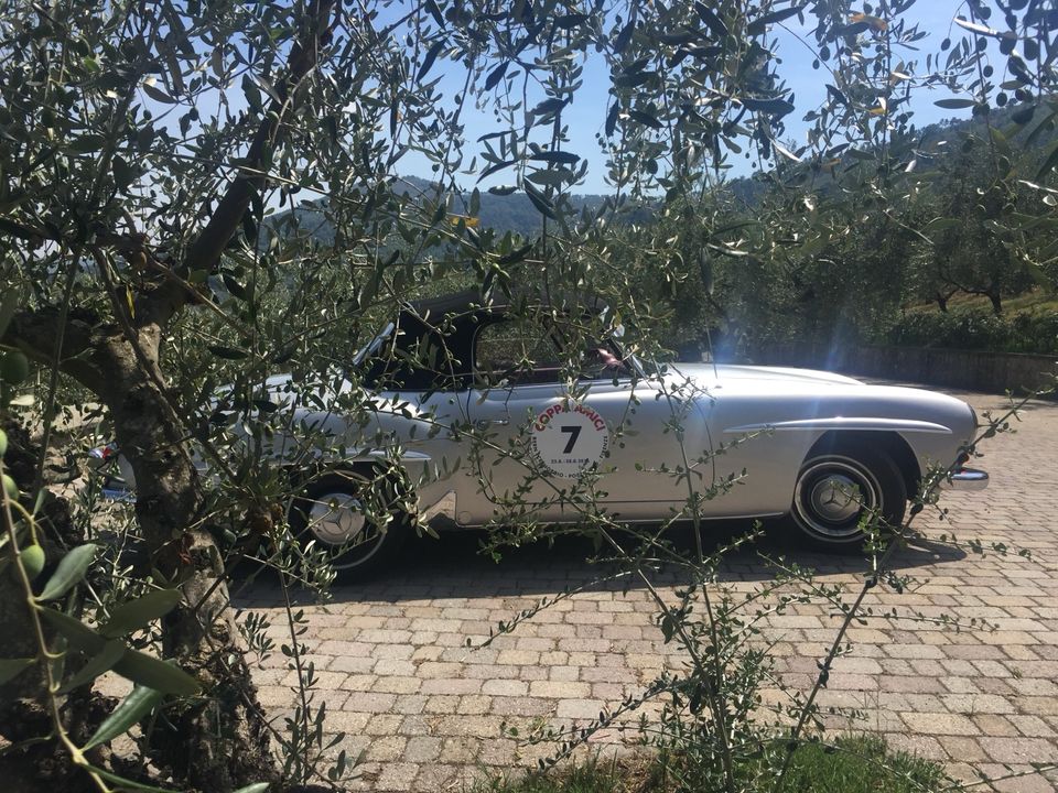 Lichtmaschine 190SL MB Mercedes Benz in Bobingen