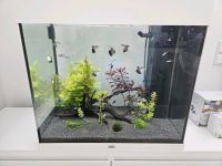 Juwel Aquarium Lido 120 Hessen - Büdingen Vorschau