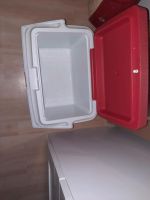 Kühlbox mit akkus Kreis Ostholstein - Grömitz Vorschau