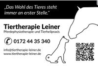 Bioresonanztherapie bei Cushing Pferden Hessen - Guxhagen Vorschau