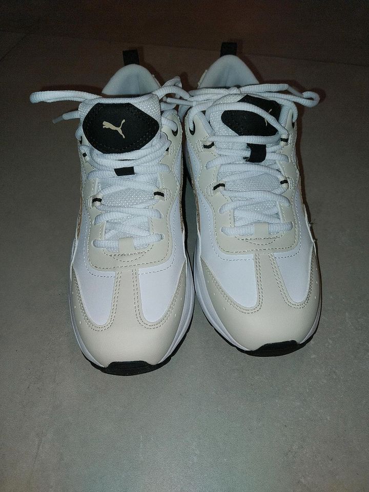 Puma Sneaker in Hohenau