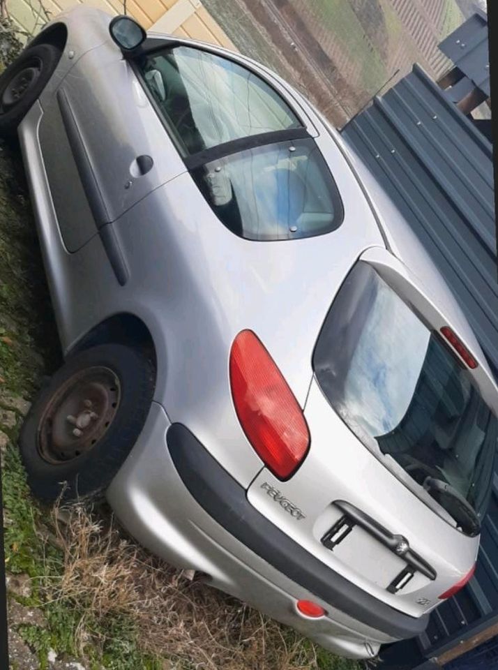 Peugeot 206 in Osterspai