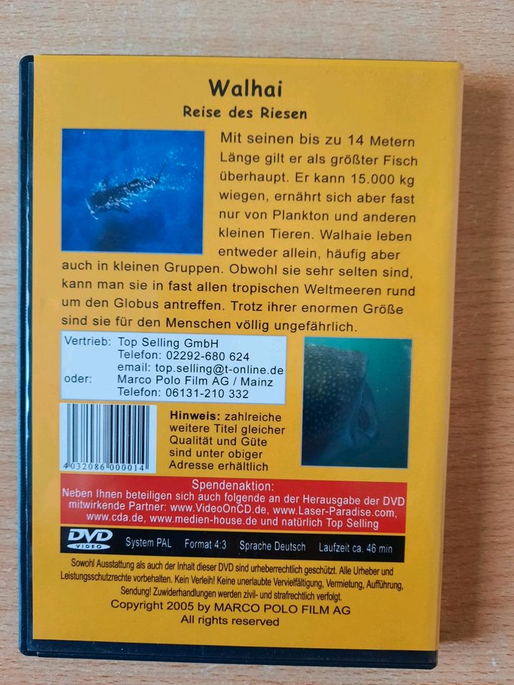 Haie - Walhai Dok. *DVD' Walhai Reise des Riesen in Kiel