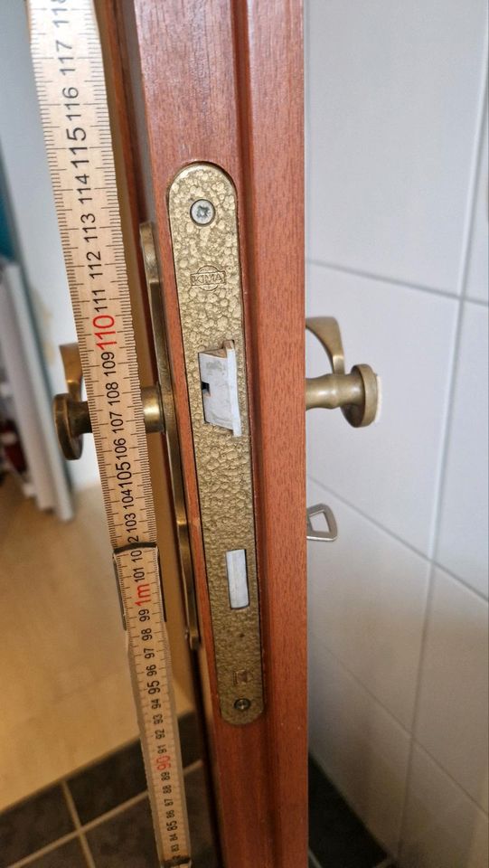 Tür 197,5 cm hoch 73 cm  breit in Grünstadt