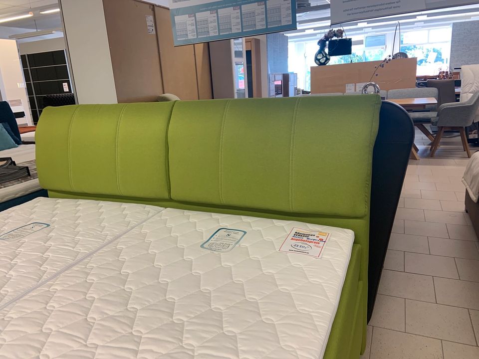 Hapo Boxspringbett Lexos grün 180x200cm inclusive Topper in Brandis