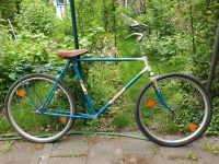 24 Zoll Diamant Fahrrad Retro Leipzig - Leipzig, Südvorstadt Vorschau