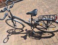 Zündapp silver 4.0 Alu-Trekking-Fahrrad Damen 26 Zoll  Schal Rheinland-Pfalz - Gauersheim Vorschau