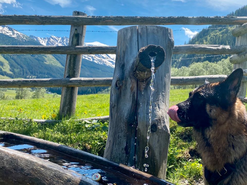 Urlaub Berghütte Nähe Zell am See, Österreich in München