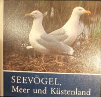 Seevögel, Meer und Küstenland von Claus Schönert Sachsen - Radeberg Vorschau
