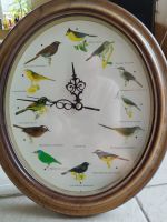 Uhr, Wanduhr mit Vogelstimmen Brandenburg - Falkensee Vorschau