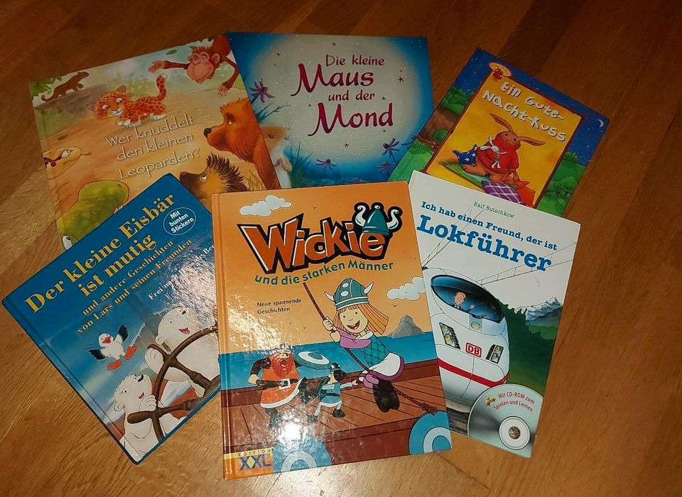 Konvolut Kinderbücher zum Vorlesen, kleiner Eisbär, Wickie... in Leipzig