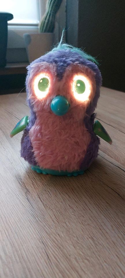 Hatchimals interaktiver Spielzeug-Vogel in Creuzburg