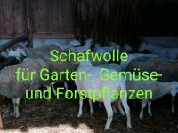 Schafwolle, Dünger Garten-, Gemüse- u. Forstpflanzen Bayern - Augsburg Vorschau