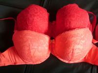 2x BH Hunkemöller 75F Bayern - Eckental  Vorschau