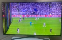 Samsung Fernseher 55 Zoll - Bildschirm Defekt Baden-Württemberg - Heidenheim an der Brenz Vorschau