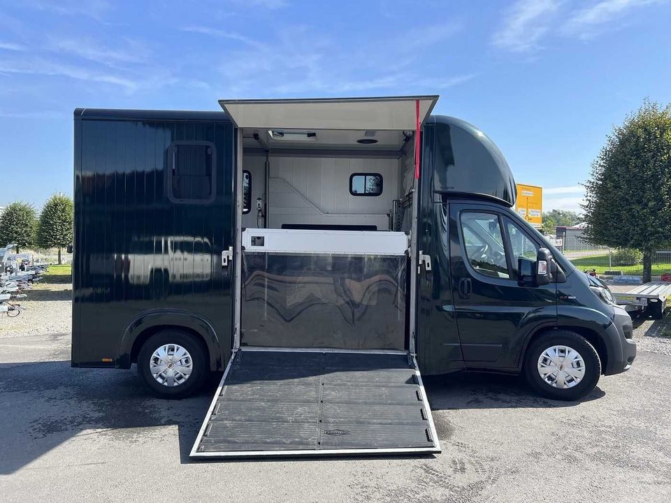 Fiat Böckmann Compact Stall LKW in Horn-Bad Meinberg