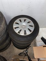 Continental Sommerreifen größe 195/65 R15 Nordrhein-Westfalen - Gelsenkirchen Vorschau