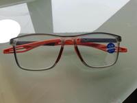 Neue Lesebrille +2,50 Hessen - Seligenstadt Vorschau