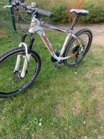 Bottecchia fx530 Fahrrad 26 Zoll,24 Gang, Dicks Bremse vorne Altona - Hamburg Lurup Vorschau