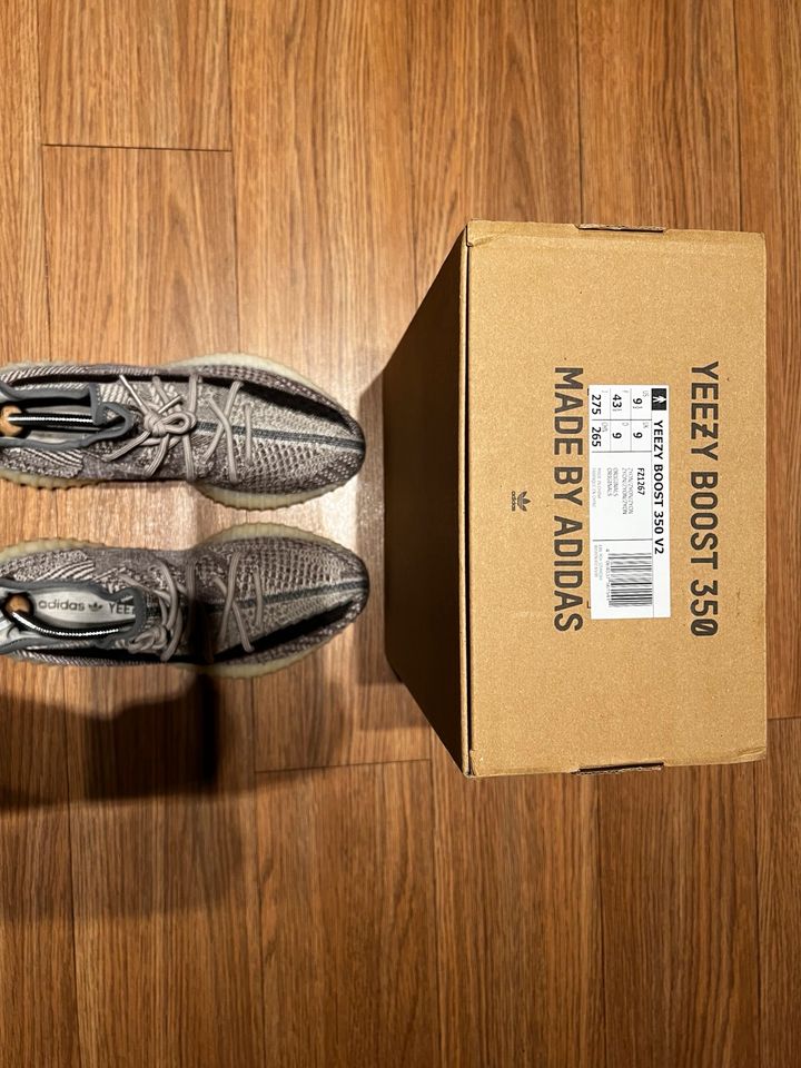 Adidas Yeezy 350 V Zyon 431/3 in Hamburg