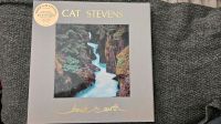 Cat Stevens - Back To Earth Super Deluxe Edition Duisburg - Duisburg-Mitte Vorschau