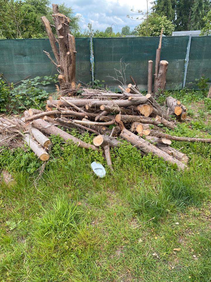 Brennholz kostenlos abzugeben in NordrheinWestfalen Mönchengladbach