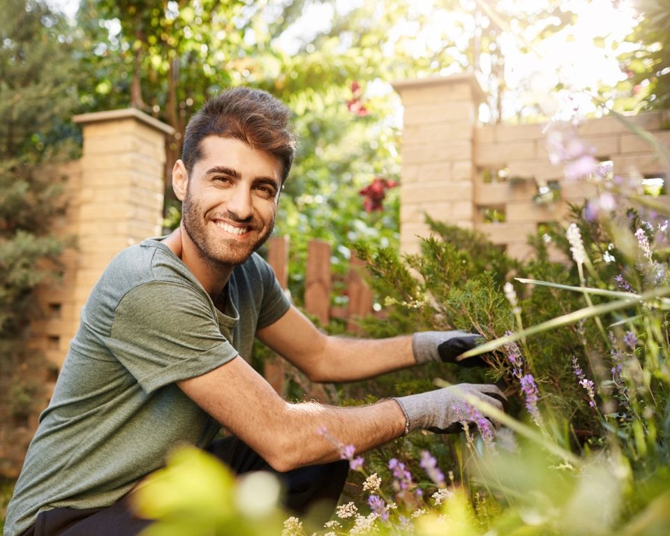 Gartenarbeit / Gartenpflege / Heckeschneiden in Kiel