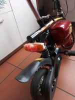 Sporter electric scooter Roller Sachsen-Anhalt - Harzgerode Vorschau
