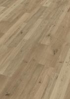 Laminatboden Classic 55 Natural Oak 6675 Hessen - Kassel Vorschau