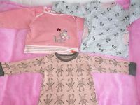 Pullover Set 74, Pulli Sigikid, Hema, small rags Sachsen - Oschatz Vorschau