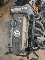 VW Motor 1.4 CGG Schlachtfest Ersatzteile Ausschlachten Niedersachsen - Westerwalsede Vorschau