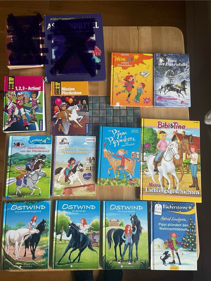 Kinder Pferde Geschichten  Bücher in Bitburg