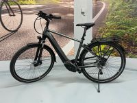 Pegasus PREMIO EVO 10 LITE 500 - 2022 - Gr. M - 28 Zoll - Ebike Trekking - SERVICE NEU - TOP Zustand Bayern - Parkstetten Vorschau