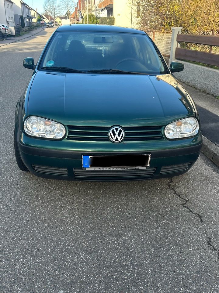 Golf 4 1.4 TÜV 07/25 in Heilbronn