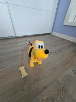 Pluto Laufhund Brandenburg - Hoppegarten Vorschau