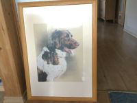 Portrait, Zeichnung, Bild, kleiner Münsterländer, Original Bayern - Marktbergel Vorschau