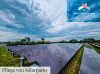 Solarpark Pflege Sachsen-Anhalt - Wanzleben Vorschau