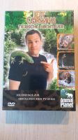 3er DVD Box Jeff Corwins tierische Abenteuer Müritz - Landkreis - Röbel Vorschau