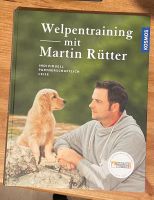 Martin Rütter Welpentraing Baden-Württemberg - Obersulm Vorschau